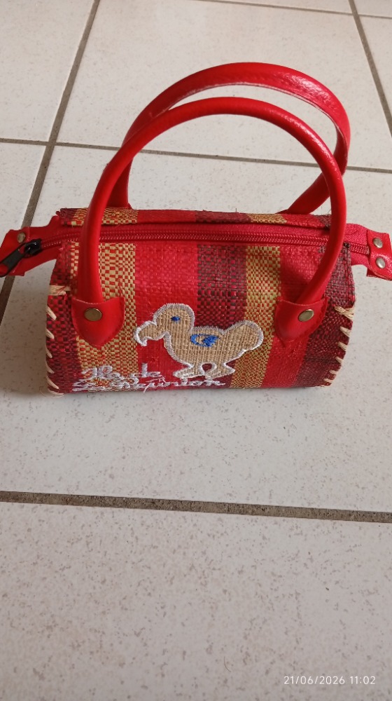 Petit sac réunion 
Sac ou Petite trousse a maquillage 
Motif dodo